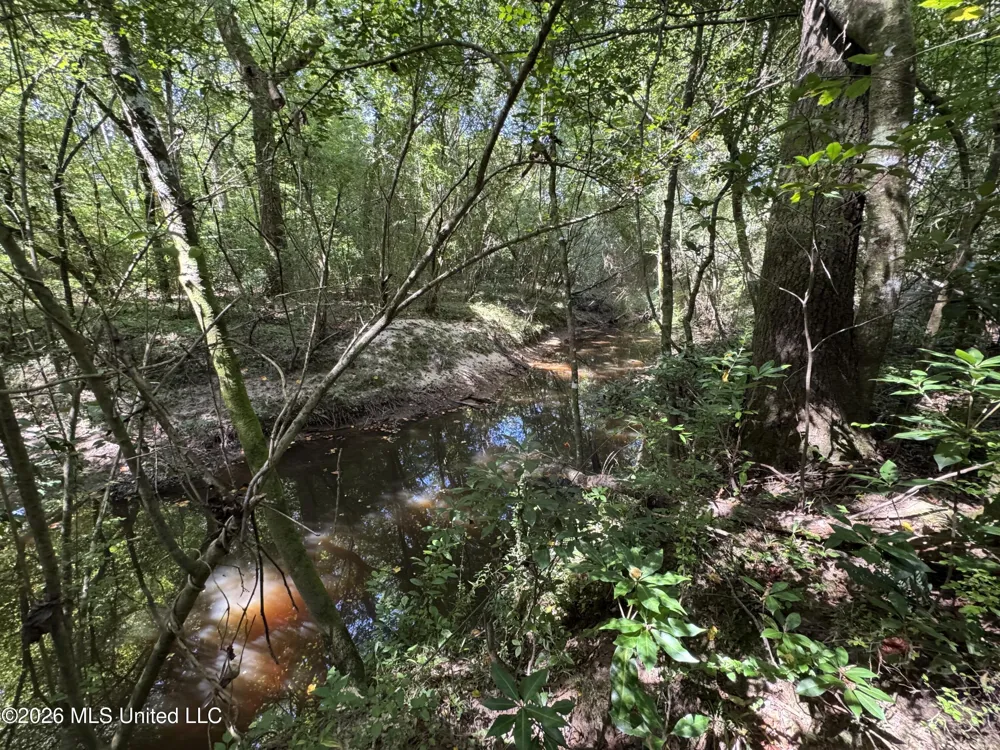32 Sauls Road Ruth, MS 39662