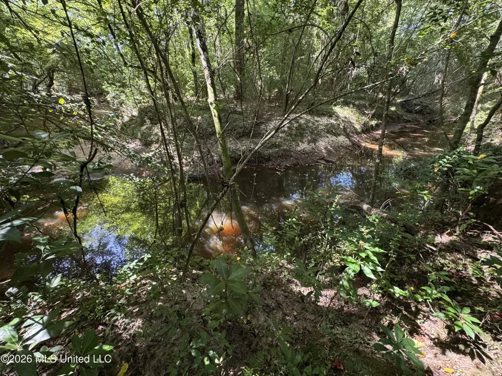 32 Sauls Road Ruth, MS 39662