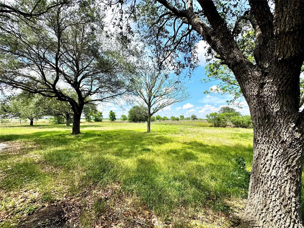 2691 Fm 1862 Blessing, TX 77465