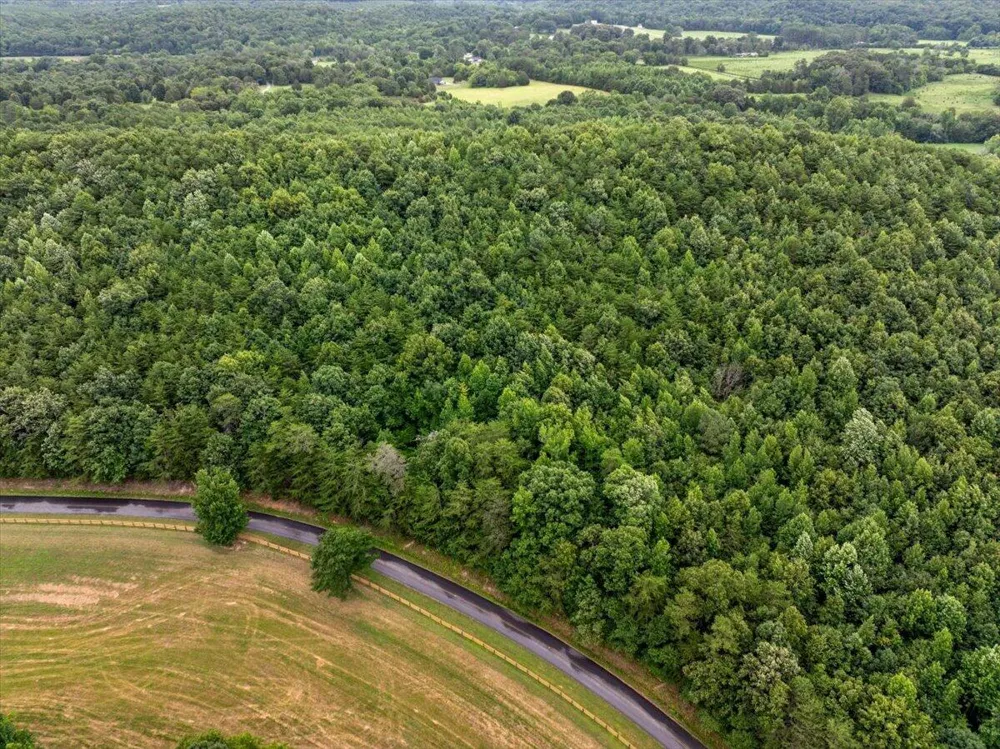 Fricks Gap Road Chickamauga, GA 30707