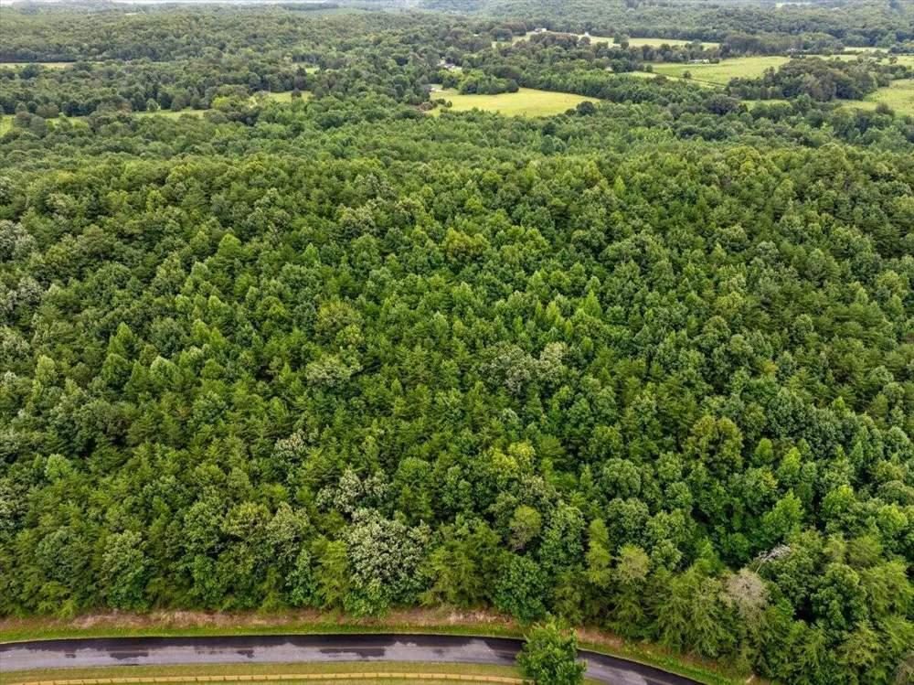 Fricks Gap Road Chickamauga, GA 30707