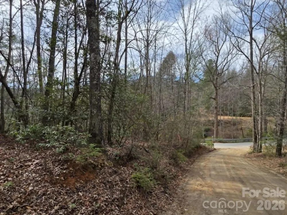 Lot 1 Kerlee Lane Old Fort, NC 28762