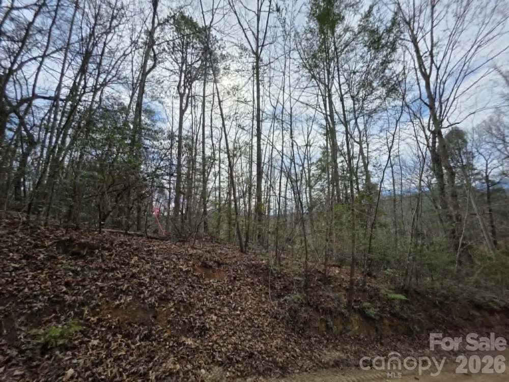 Lot 1 Kerlee Lane Old Fort, NC 28762