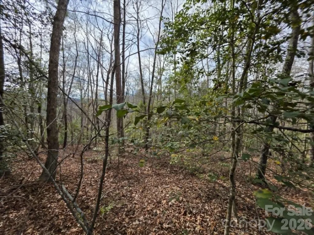 Lot 1 Kerlee Lane Old Fort, NC 28762