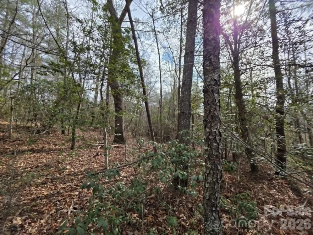 Lot 1 Kerlee Lane Old Fort, NC 28762