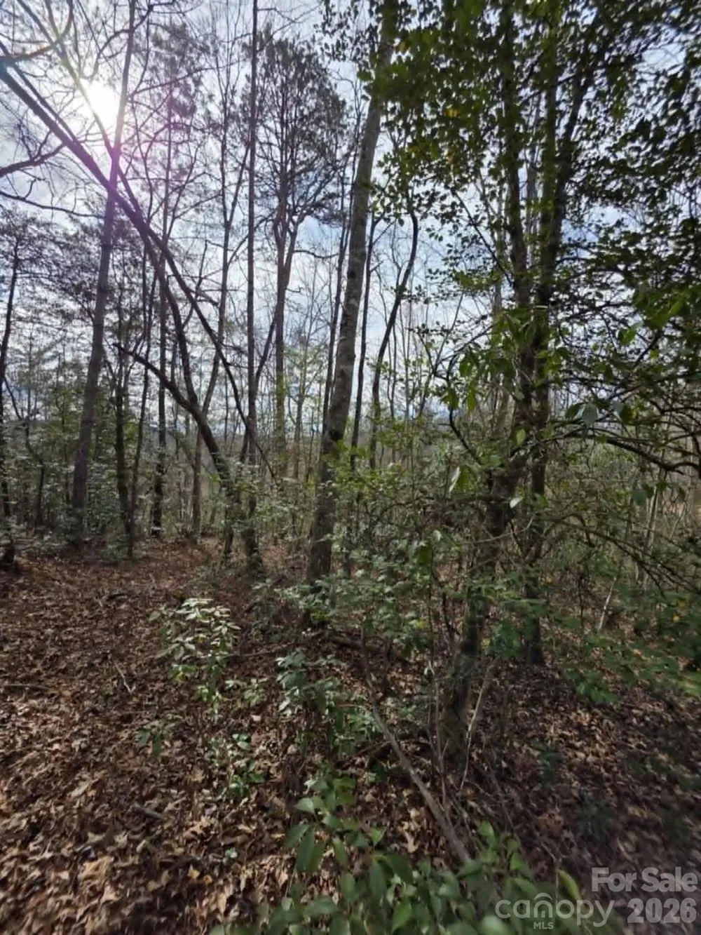 Lot 1 Kerlee Lane Old Fort, NC 28762