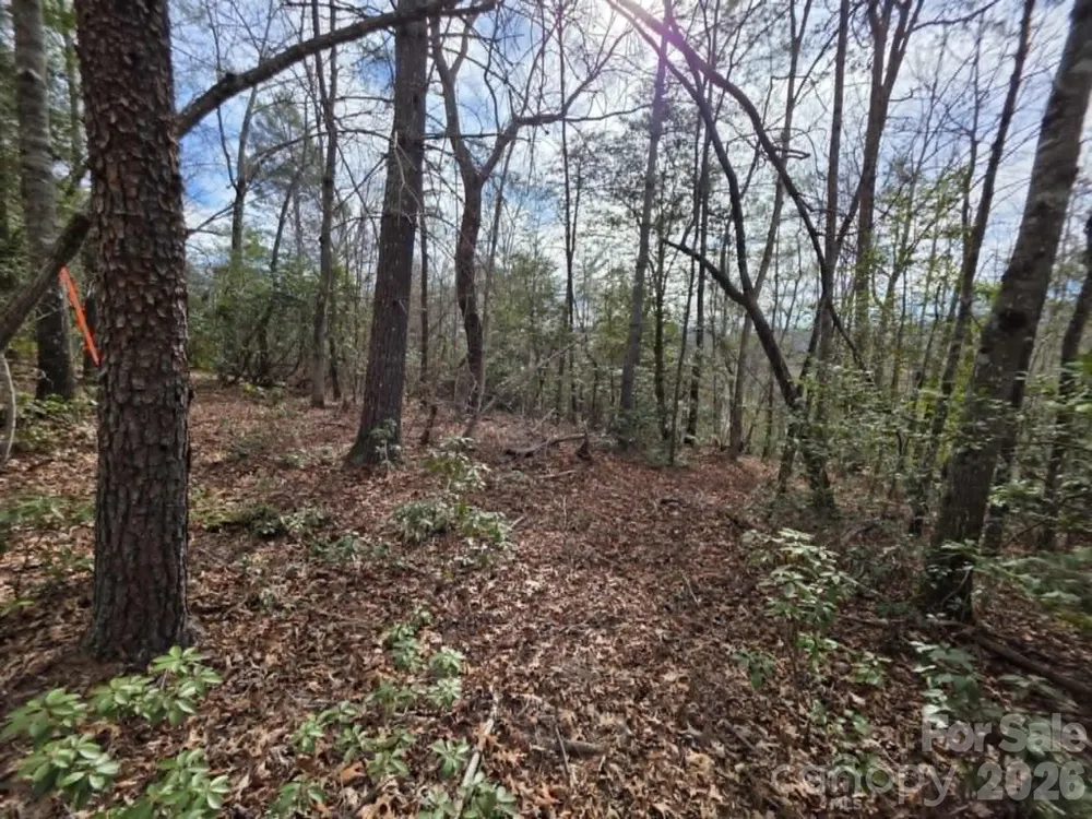 Lot 1 Kerlee Lane Old Fort, NC 28762