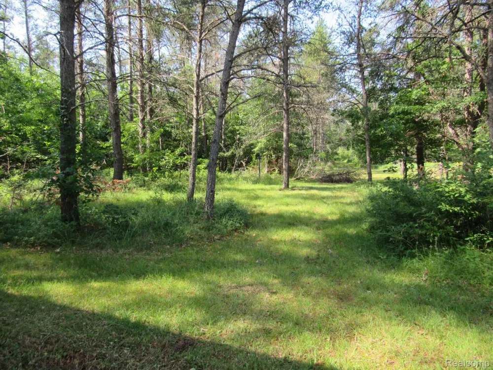 Shepherds Trail 10 Acres Beaver Creek Township, MI 48653