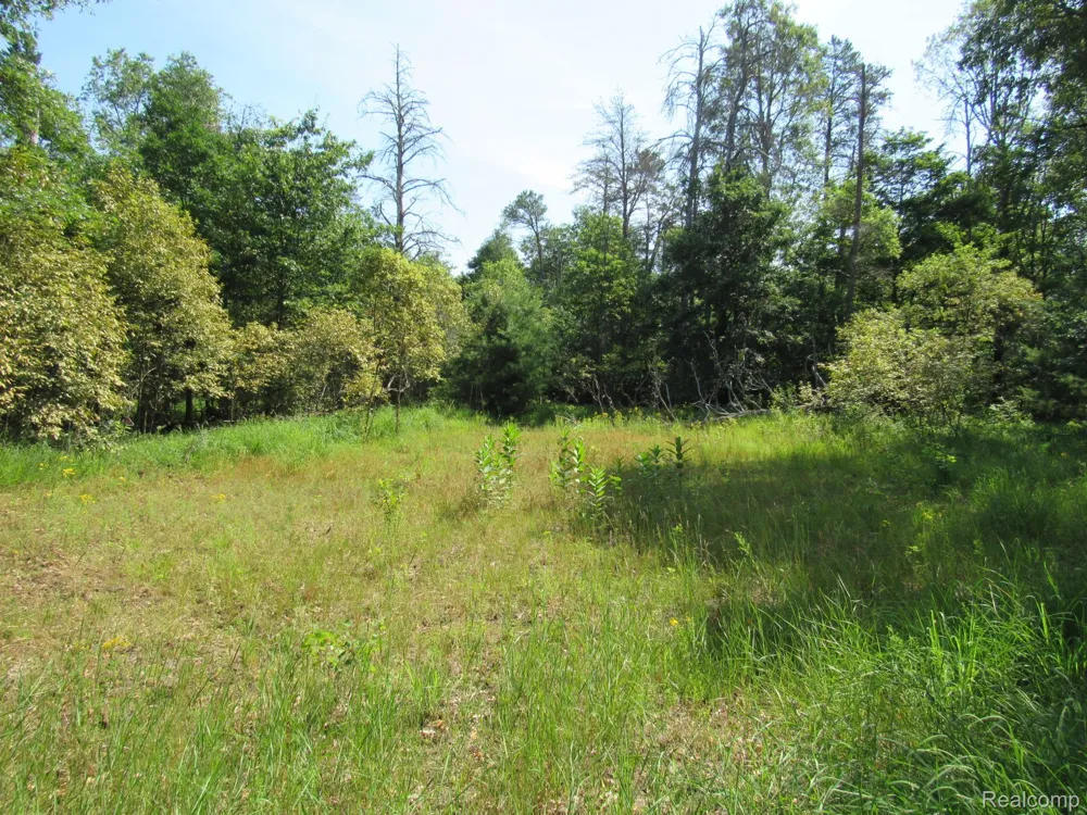 Shepherds Trail 10 Acres Beaver Creek Township, MI 48653