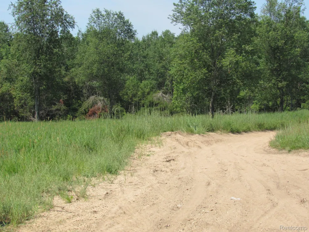 Shepherds Trail 10 Acres Beaver Creek Township, MI 48653