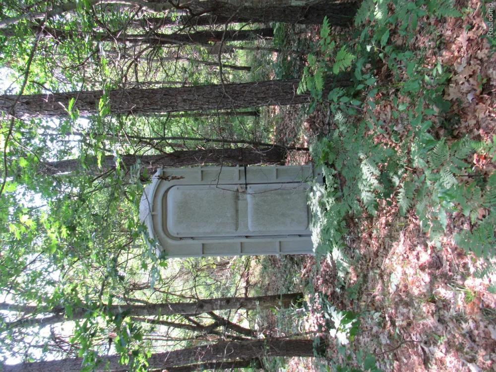 Shepherds Trail 10 Acres Beaver Creek Township, MI 48653
