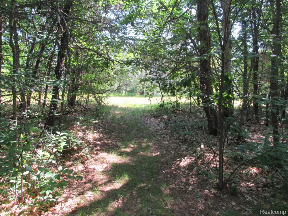 Shepherds Trail 10 Acres Beaver Creek Township, MI 48653