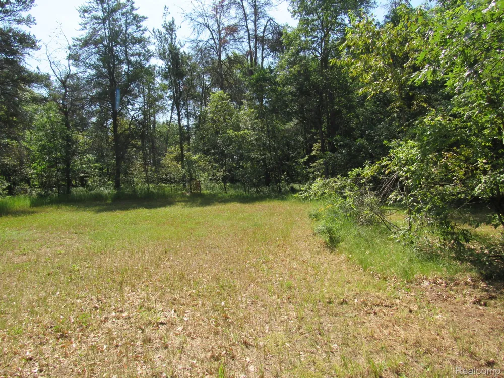 Shepherds Trail 10 Acres Beaver Creek Township, MI 48653