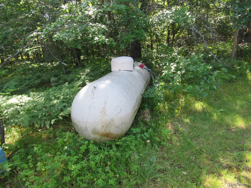 Shepherds Trail 10 Acres Beaver Creek Township, MI 48653
