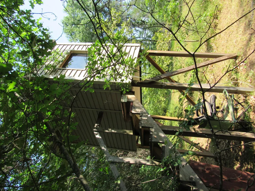 Shepherds Trail 10 Acres Beaver Creek Township, MI 48653