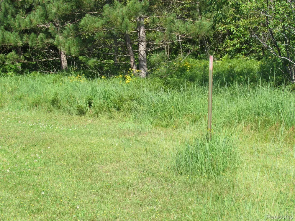 Shepherds Trail 10 Acres Beaver Creek Township, MI 48653