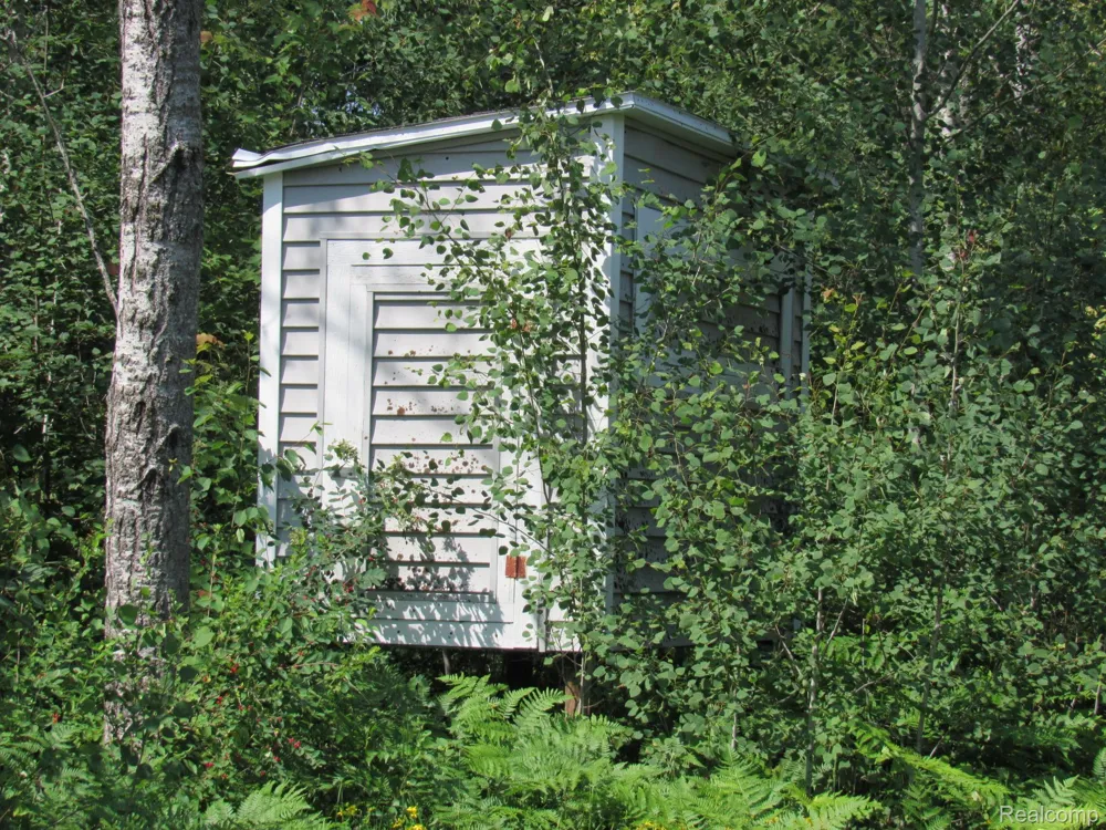 Shepherds Trail 10 Acres Beaver Creek Township, MI 48653