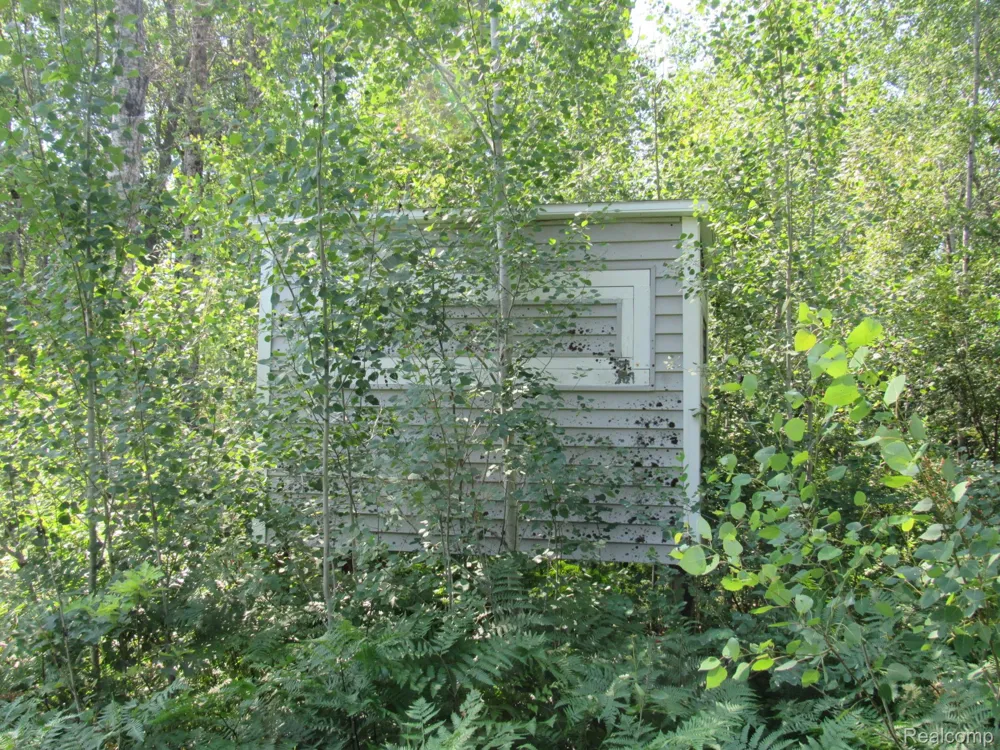 Shepherds Trail 10 Acres Beaver Creek Township, MI 48653