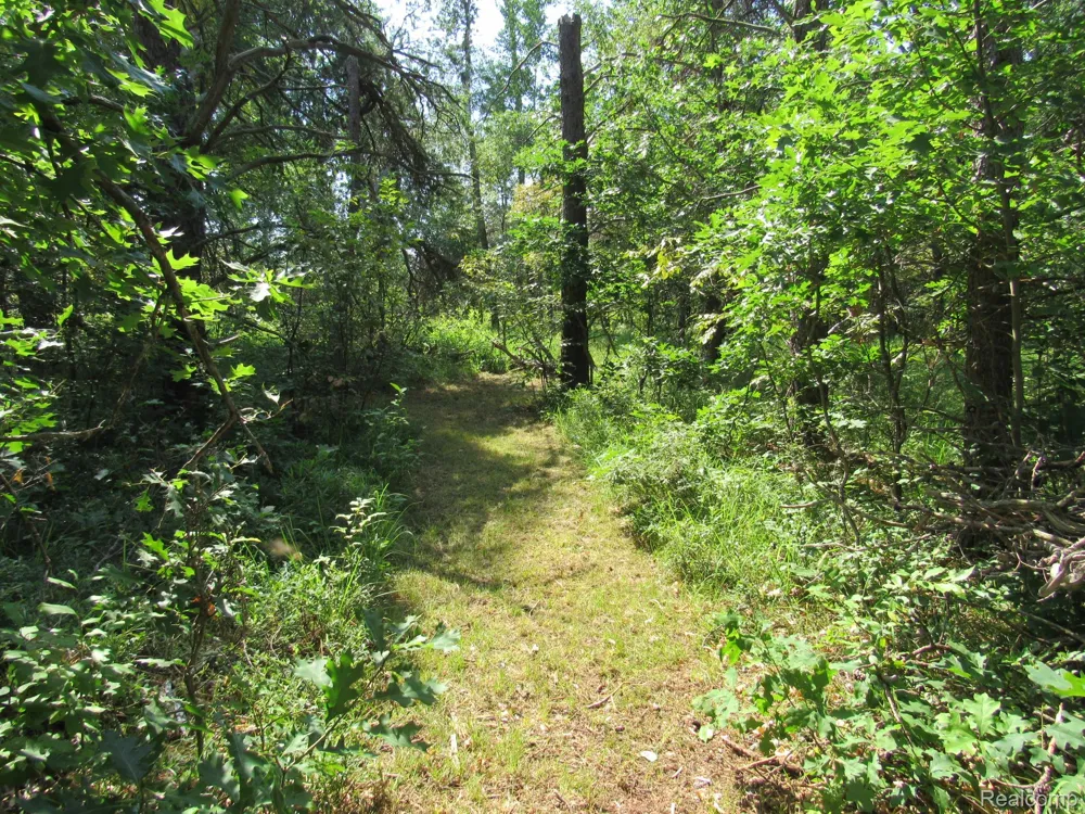 Shepherds Trail 10 Acres Beaver Creek Township, MI 48653