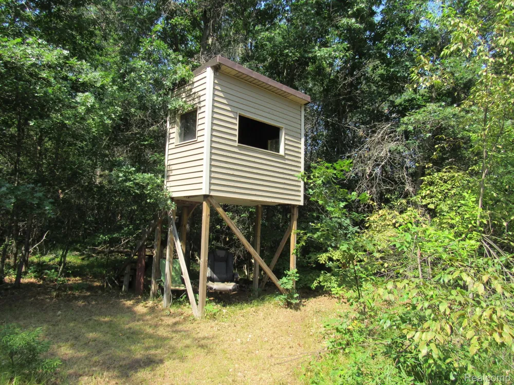 Shepherds Trail 10 Acres Beaver Creek Township, MI 48653