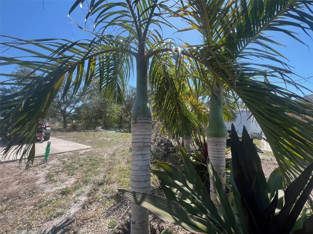 321 RAVENNA STREET Nokomis, FL 34275