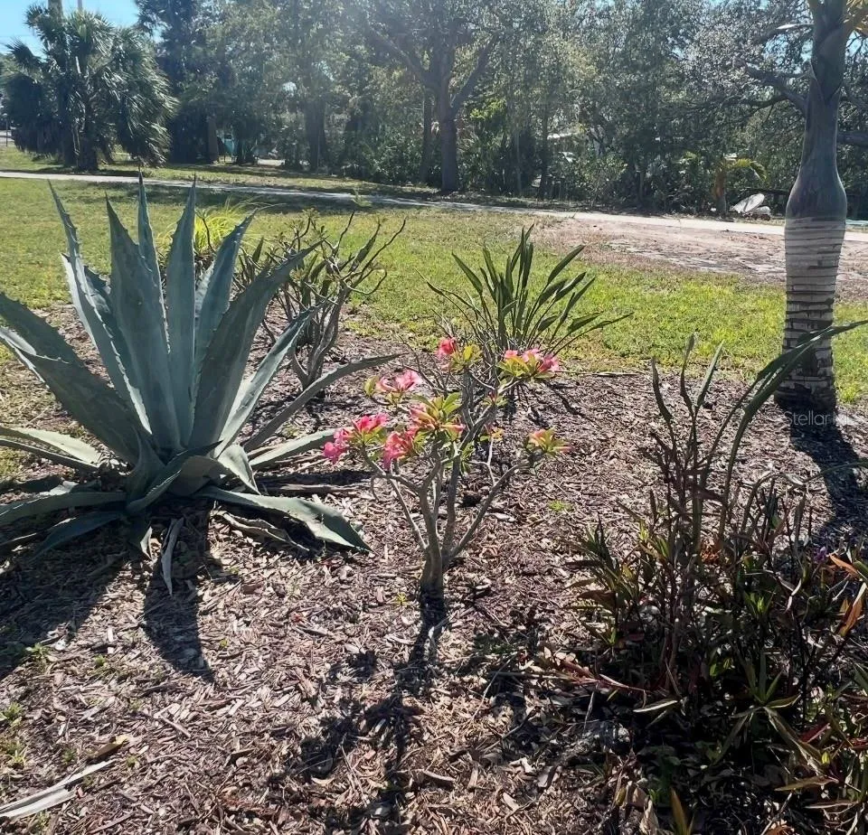 321 RAVENNA STREET Nokomis, FL 34275