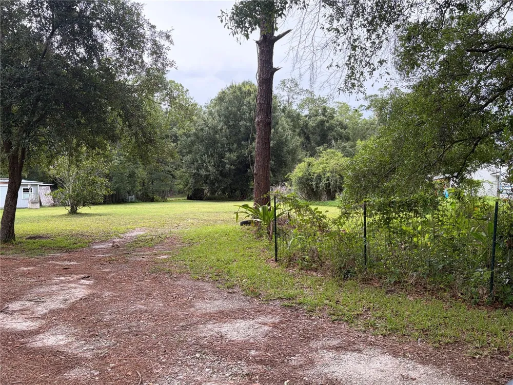 6900 ANGUS VALLEY DRIVE Wesley Chapel, FL 33544