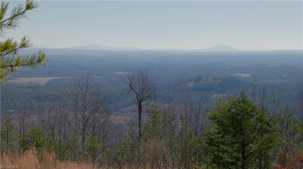 337 Goat House Road Lambsburg, VA 24351
