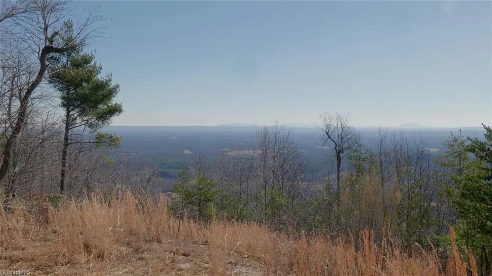 337 Goat House Road Lambsburg, VA 24351