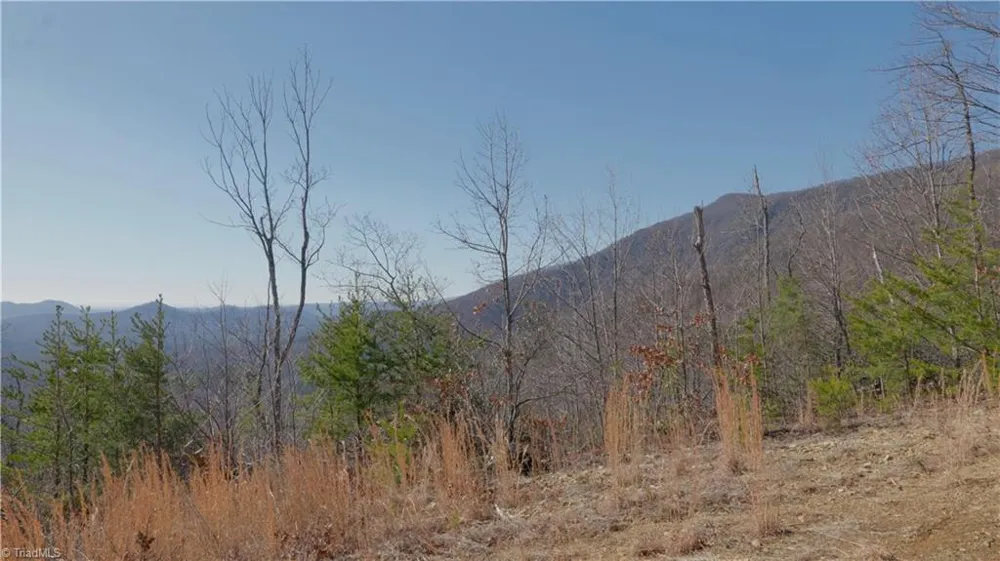 337 Goat House Road Lambsburg, VA 24351