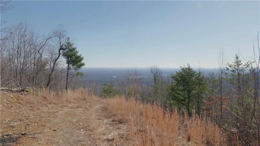 337 Goat House Road Lambsburg, VA 24351