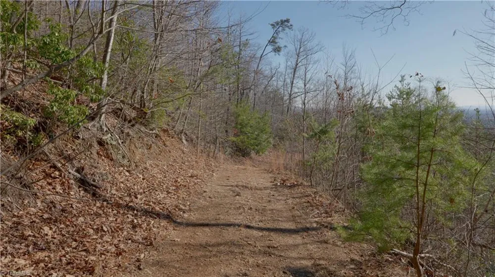 337 Goat House Road Lambsburg, VA 24351