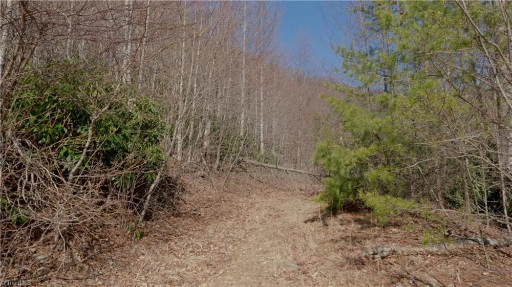 337 Goat House Road Lambsburg, VA 24351