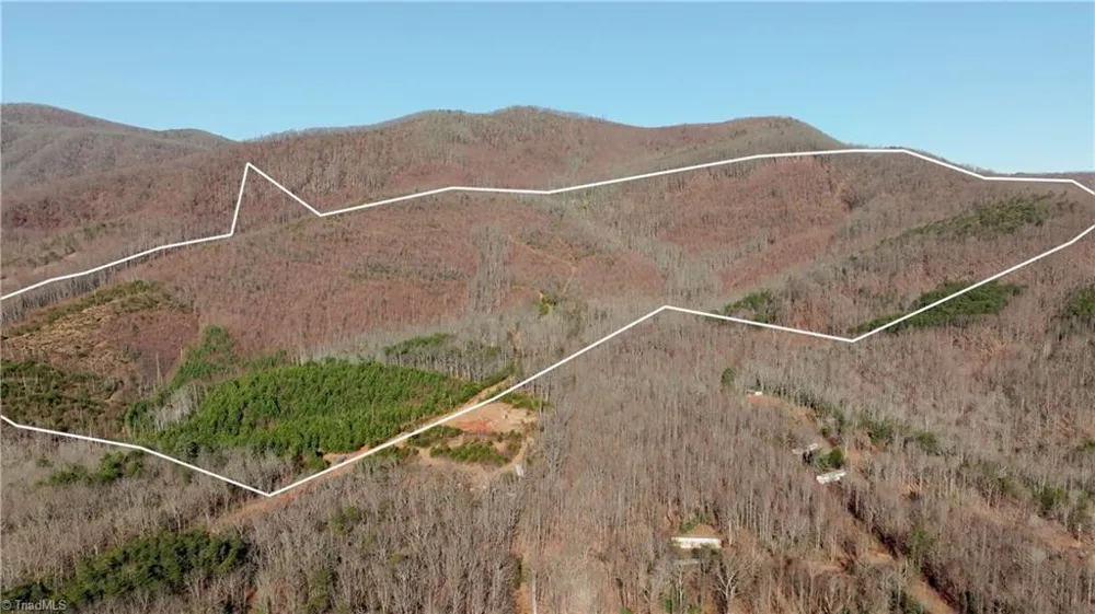 337 Goat House Road Lambsburg, VA 24351