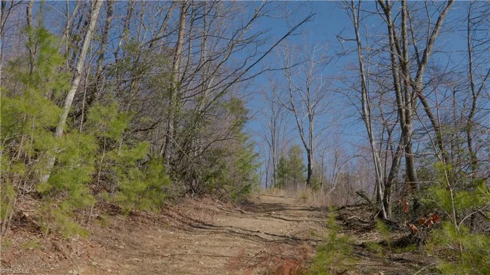 337 Goat House Road Lambsburg, VA 24351