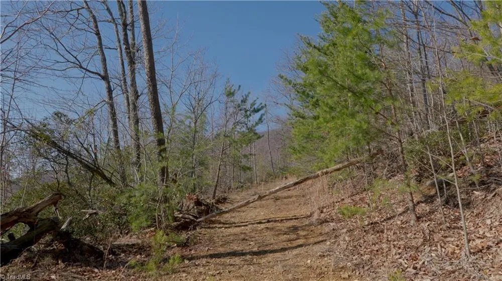 337 Goat House Road Lambsburg, VA 24351