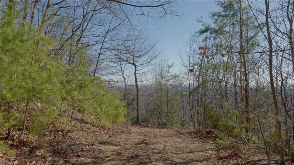 337 Goat House Road Lambsburg, VA 24351