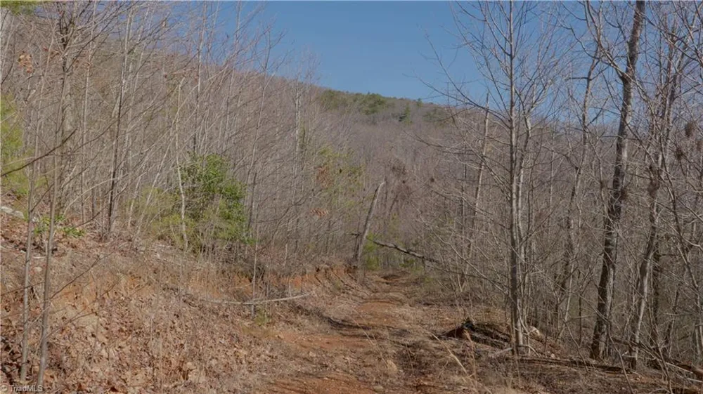 337 Goat House Road Lambsburg, VA 24351