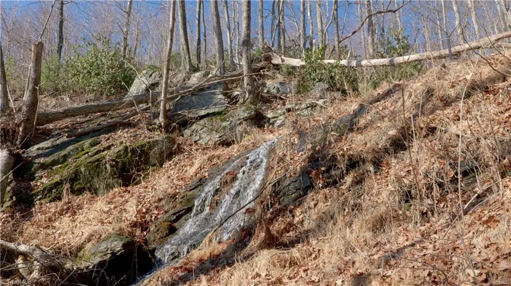 337 Goat House Road Lambsburg, VA 24351