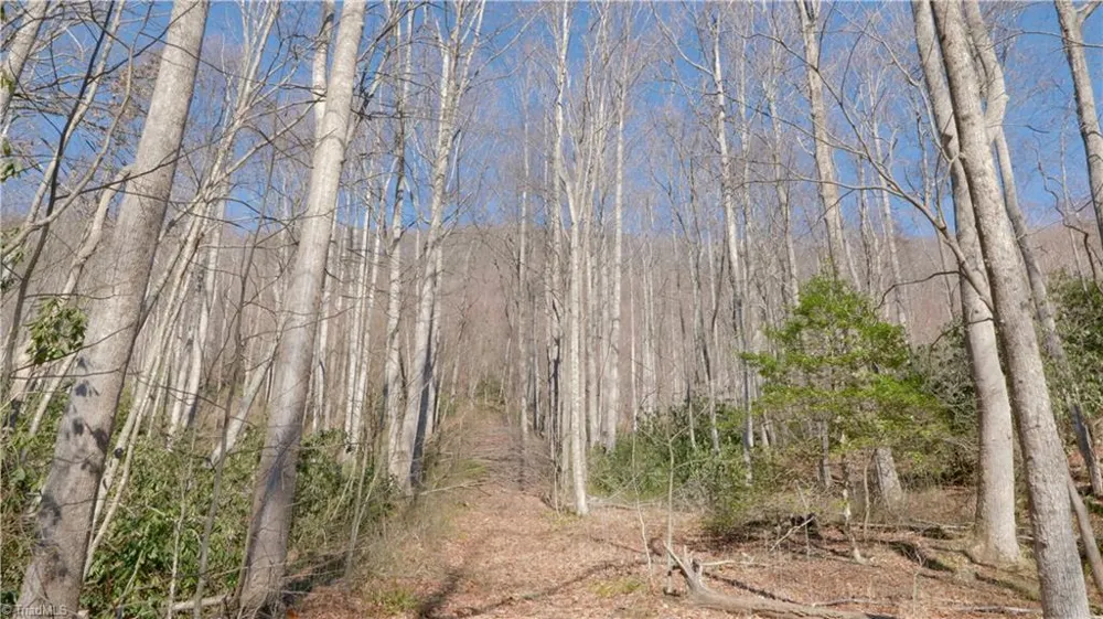 337 Goat House Road Lambsburg, VA 24351
