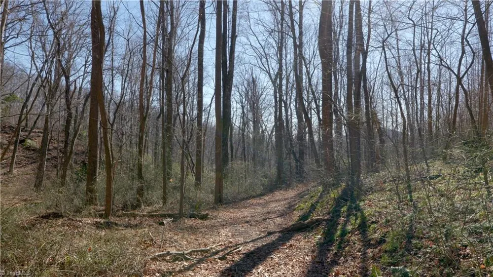 337 Goat House Road Lambsburg, VA 24351