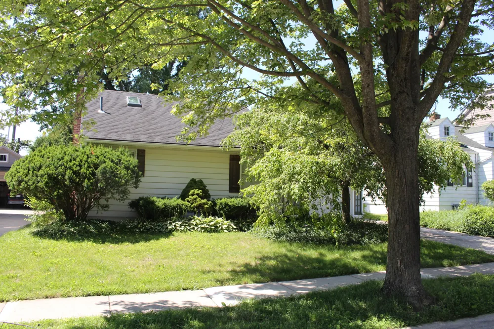 1810 Holland Street Birmingham, MI 48009