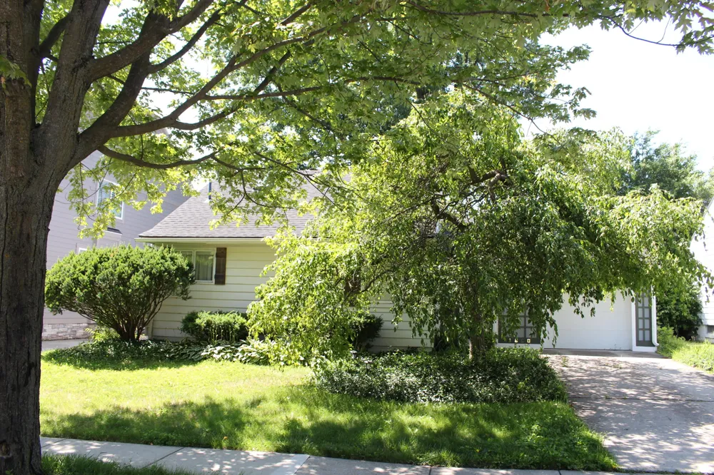 1810 Holland Street Birmingham, MI 48009