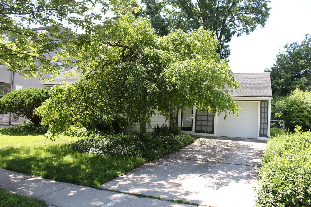1810 Holland Street Birmingham, MI 48009