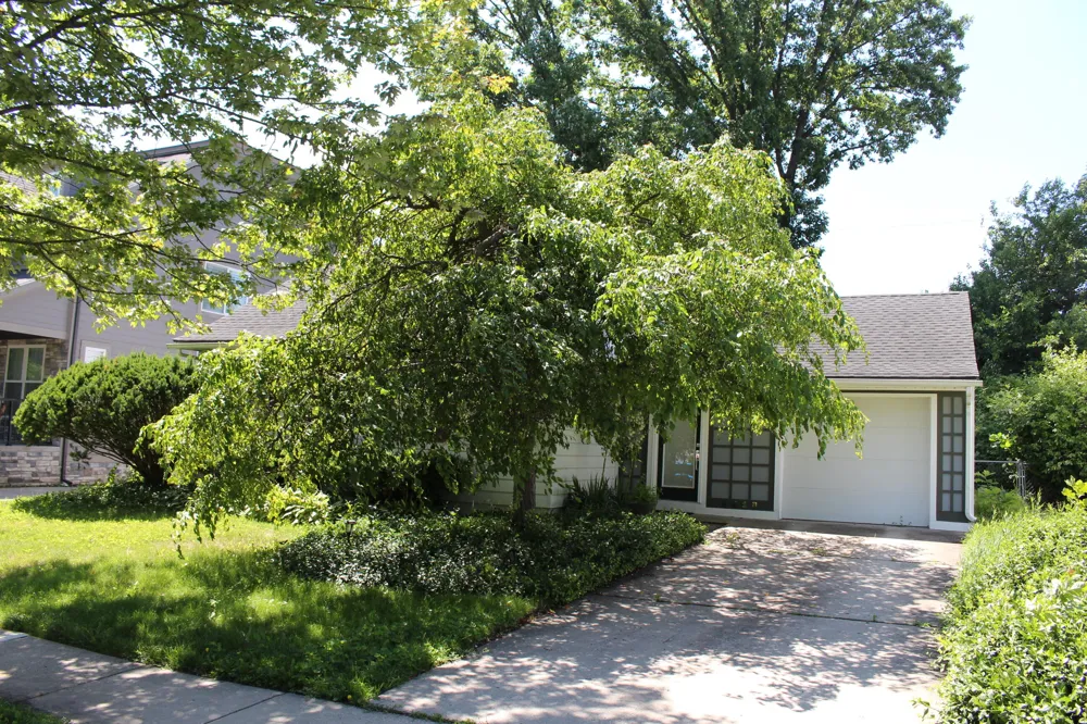 1810 Holland Street Birmingham, MI 48009