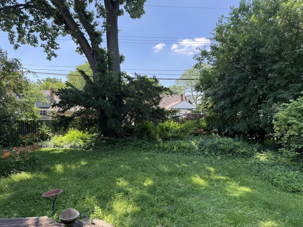1810 Holland Street Birmingham, MI 48009