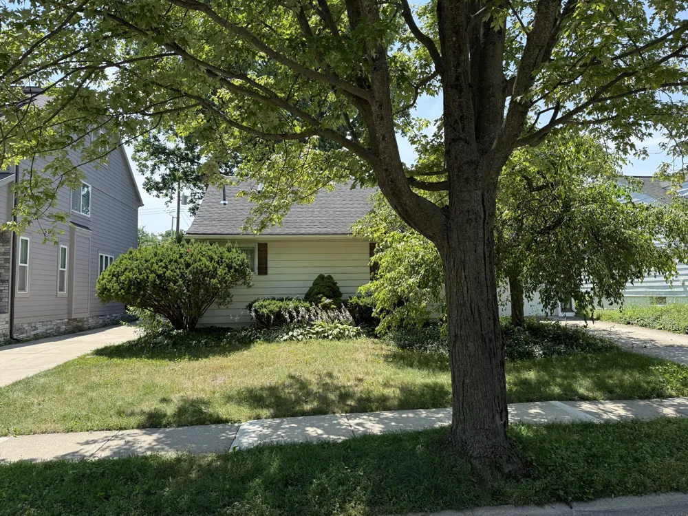 1810 Holland Street Birmingham, MI 48009