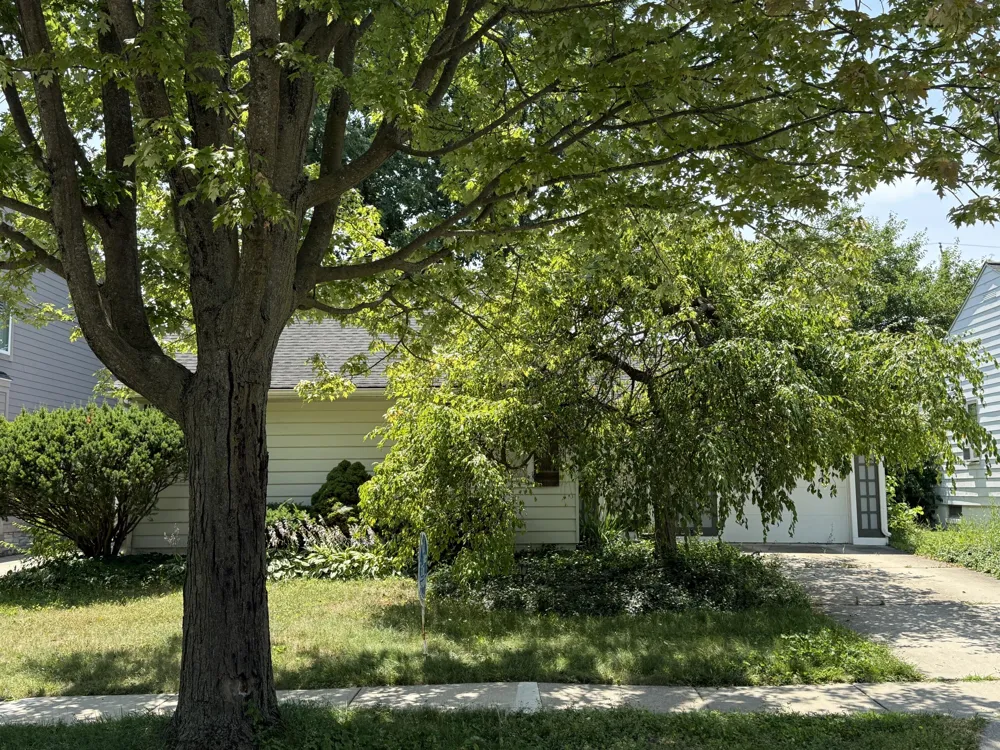 1810 Holland Street Birmingham, MI 48009