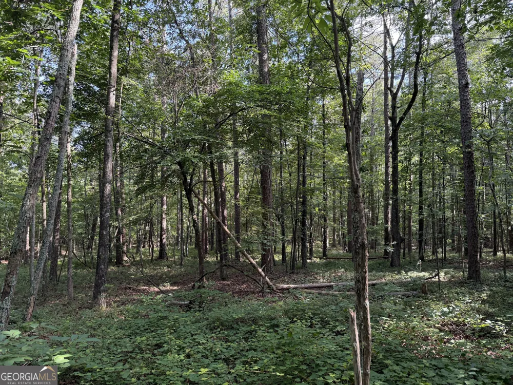 0 Clear Lake DR Adairsville, GA 30103