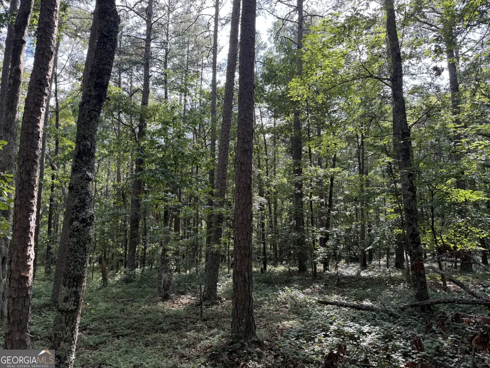 0 Clear Lake DR Adairsville, GA 30103
